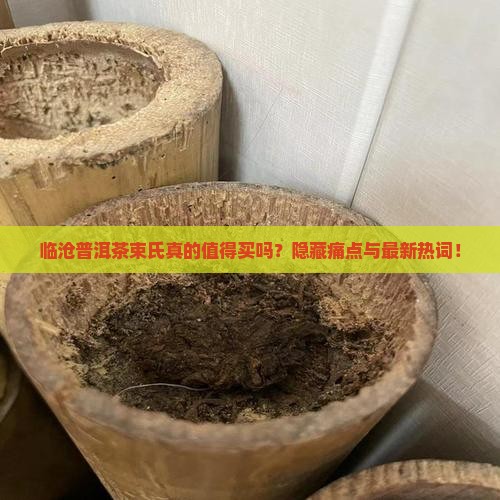 临沧普洱茶束氏