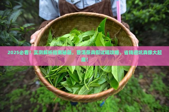 怎样试喝普洱茶的真假