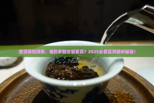 普洱茶与绿茶茶多酚