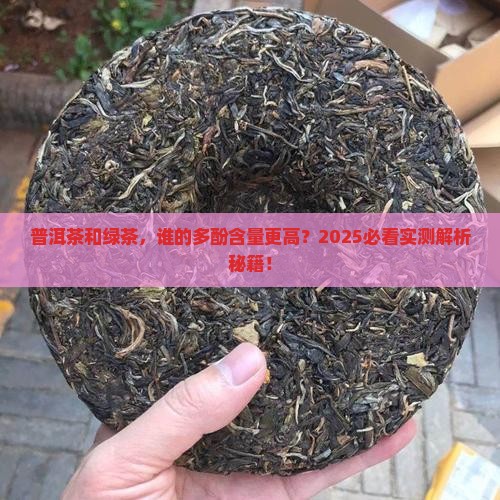普洱茶与绿茶茶多酚