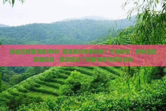 降血压喝普洱茶好吗