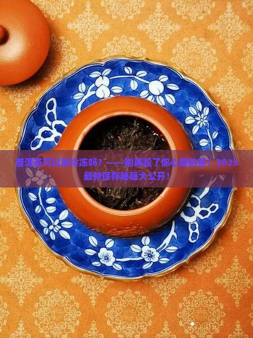 普洱茶可以放冷冻吗