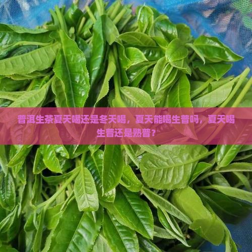 普洱生茶夏天喝还是冬天喝 普洱生茶夏天喝还是冬天喝