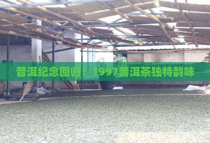1997纪念普洱茶