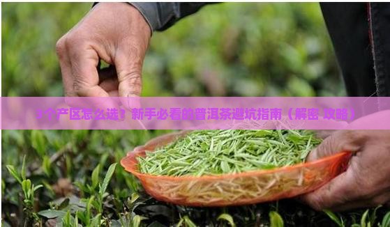 普洱茶主要的三大产区是什么