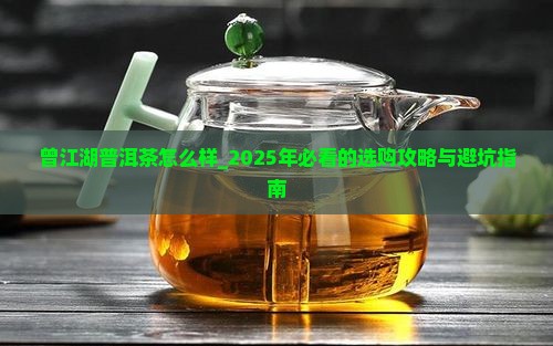 曾江湖普洱茶怎么样