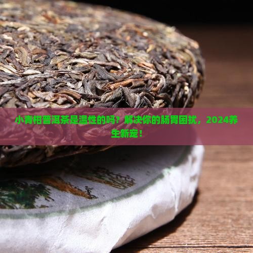 小青柑普洱茶是温性的吗