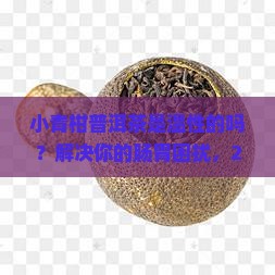 小青柑普洱茶是温性的吗