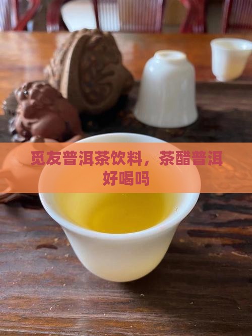 觅友普洱茶醋饮料好喝吗