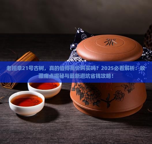 老班章21号古树