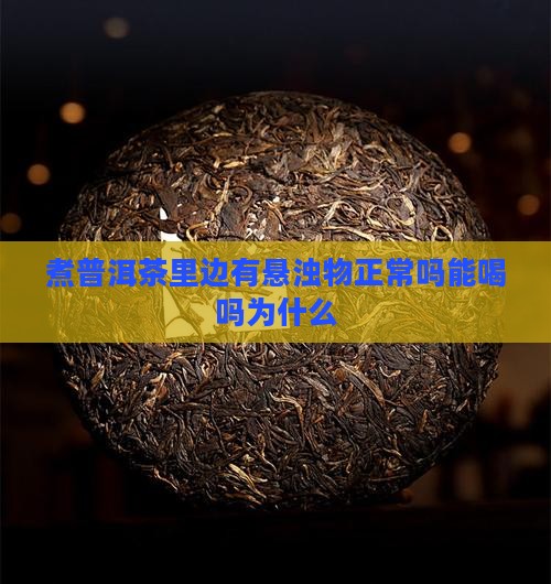 煮普洱茶里边有悬浊物正常吗