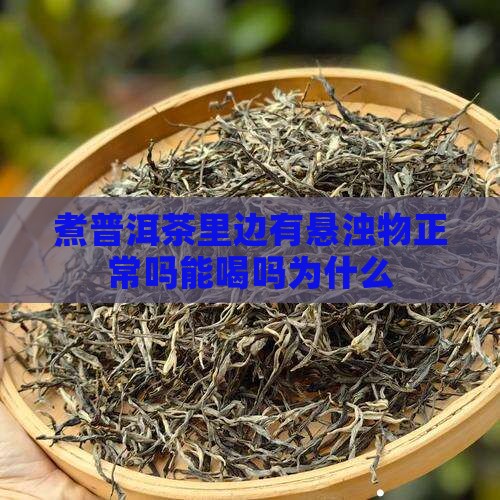 煮普洱茶里边有悬浊物正常吗