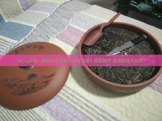 杨聘号普洱茶好吗