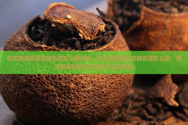 普洱茶减肥餐店铺名称怎么取
