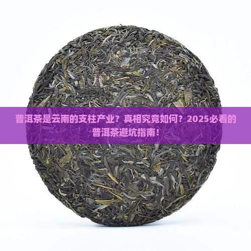 普洱茶是云南的支柱产业