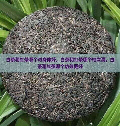 白茶和红茶哪个对身体好