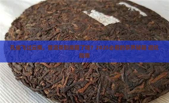 孔雀之乡普洱茶典藏