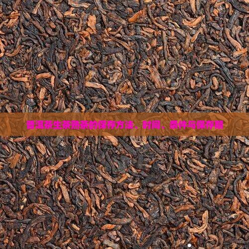 普洱茶生茶熟茶的保存