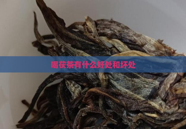 喝茯茶有什么好处和坏处