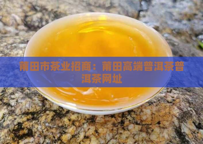 莆田高端普洱茶招商网址