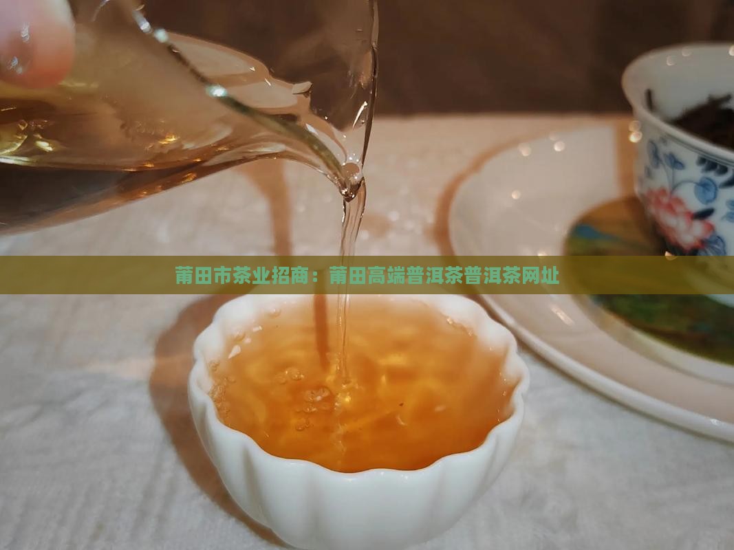 莆田高端普洱茶招商网址