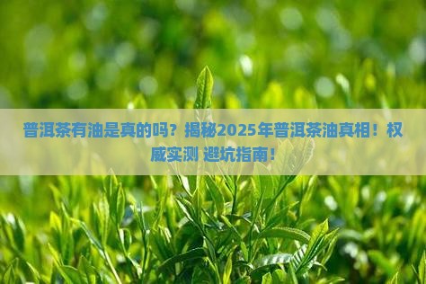 普洱茶有油是真的吗