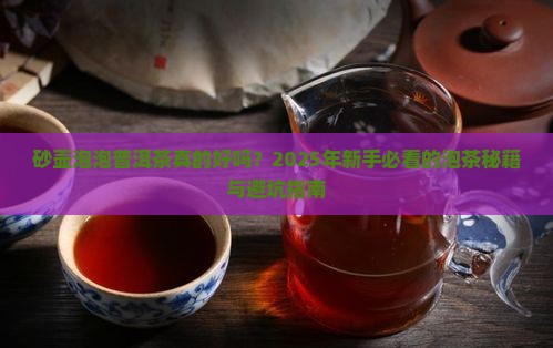 砂壶泡泡普洱茶
