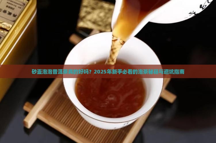 砂壶泡泡普洱茶