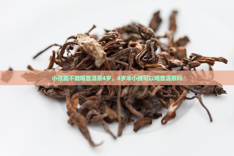 小孩能不能喝普洱茶4岁
