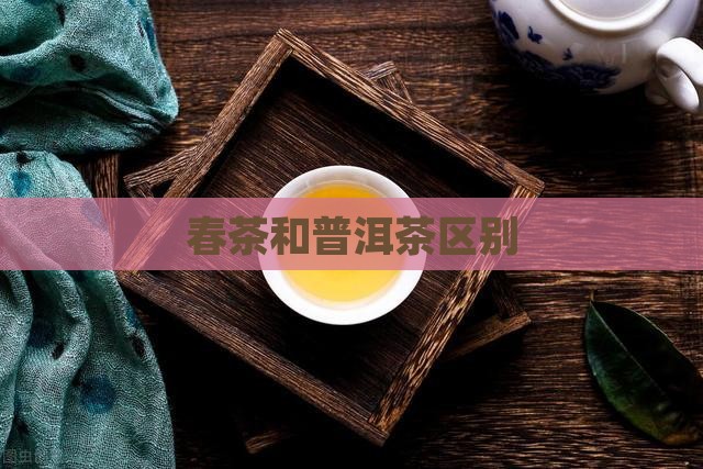 春茶和普洱茶区别