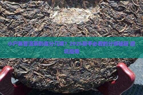 小户赛普洱茶中的级别