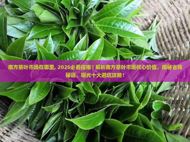 南方茶叶市场在哪里
