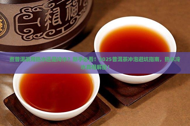 煮普洱茶用热水还是冷水
