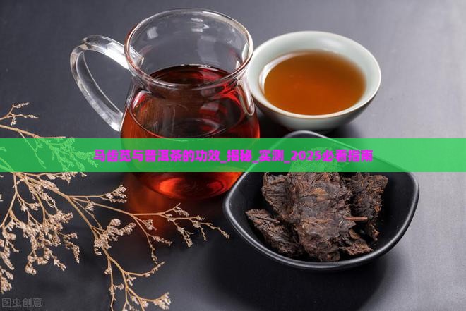 马齿苋与普洱茶的功效