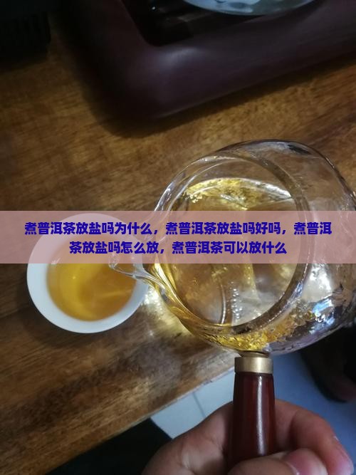 煮普洱茶放盐吗