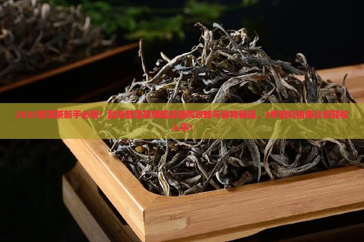 勐海普洱茶旗舰店