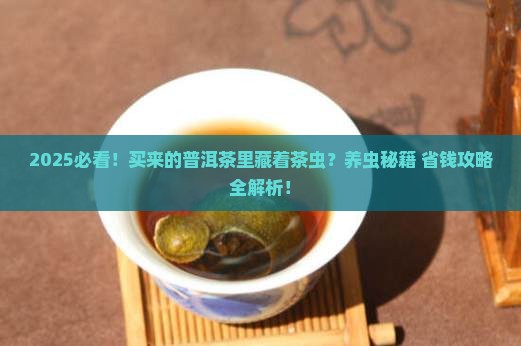 买来的普洱茶如何饲养茶虫
