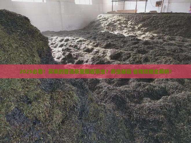 买来的普洱茶如何饲养茶虫