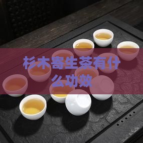 杉木寄生茶有什么功效
