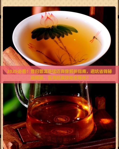 昔归普洱茶猛迈
