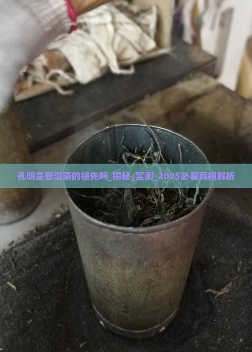 孔明是普洱茶的祖先吗