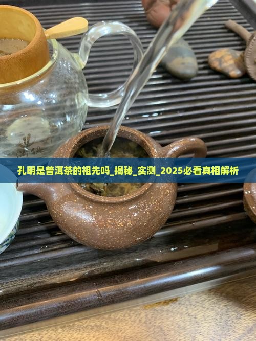 孔明是普洱茶的祖先吗