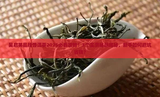 吴启英品牌普洱茶