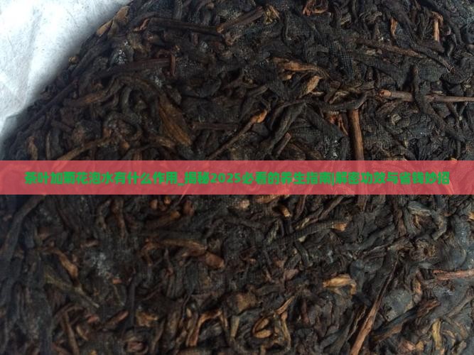 茶叶加菊花泡水有什么作用