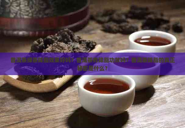 普洱茶绿茶降脂