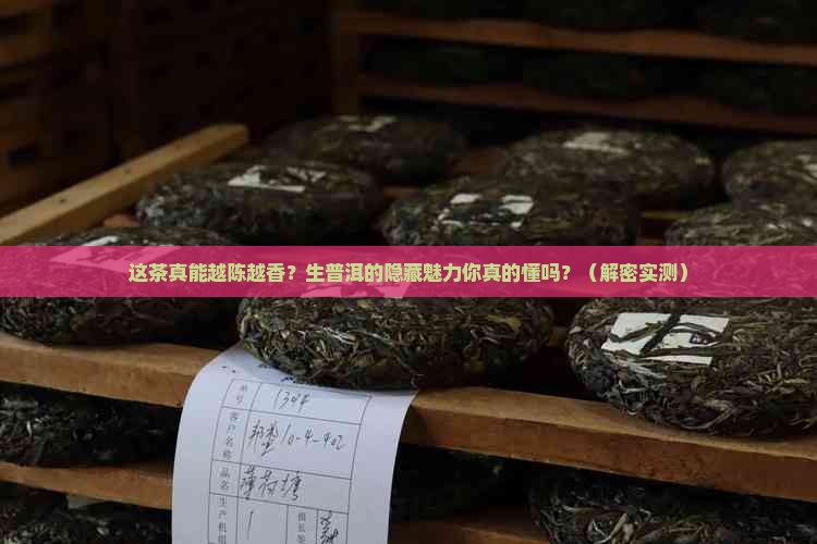 经典普洱茶生茶