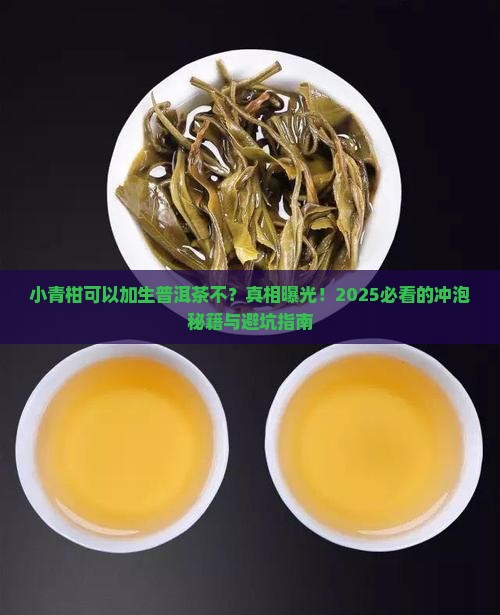 小青柑可以加生普洱茶不