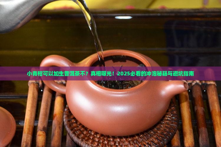 小青柑可以加生普洱茶不
