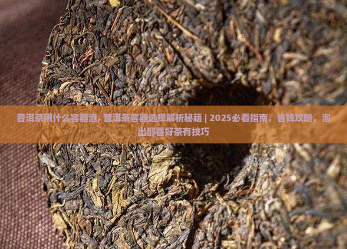 普洱茶用什么容器泡