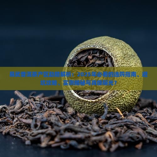 易武普洱茶产区勐腊